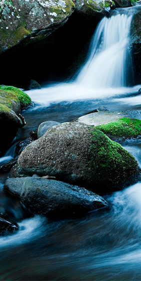Small waterfall cascading over rocks covered in green moss in a tranquil forest setting.
