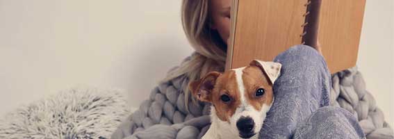 lady-with-pet-dog-thumbnail