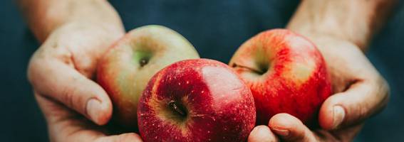 thumbnail_close-up-hands-holding-apples