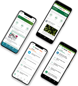 Screenshots of the Manulife Vitality mobile app for Group Benefits